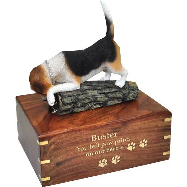 Beagle dog cremation urn, large, with engraved wood, gold fill