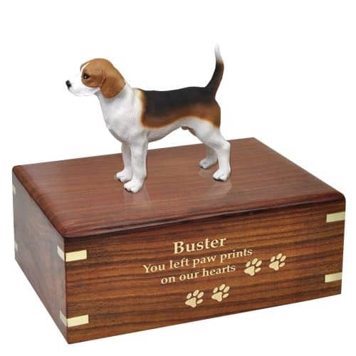 Beagle figurine cremation urn, with engraved wood, gold fill