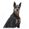 Black Doberman Pinscher figurine DF25A