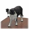 Border Collie Figurine for Cremation urn, detail