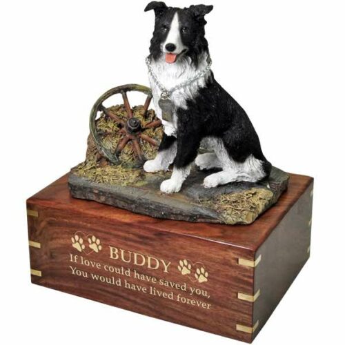 Border Collie Cremation Urn with engraved wood, gold fill