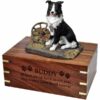 Border Collie Cremation Urn with engraved wood