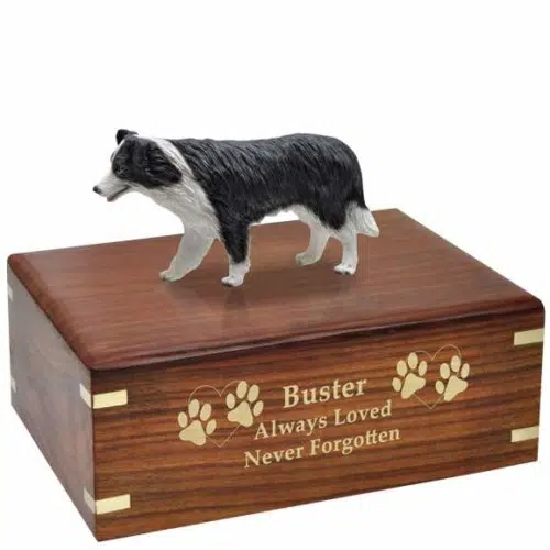 Border Collie Figurine Cremation urn, with engraved wood, gold fill