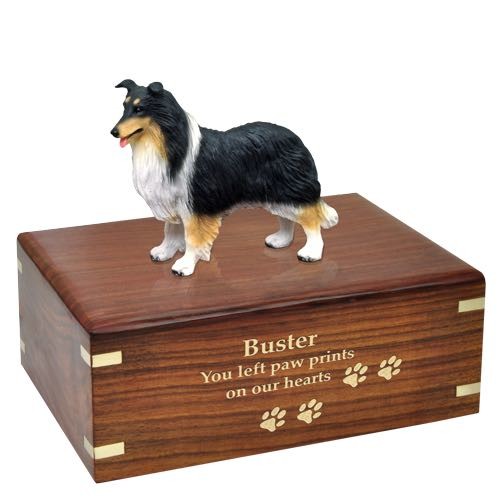 Tricolor Border Collie Cremation Urn with engraved wood, gold fill