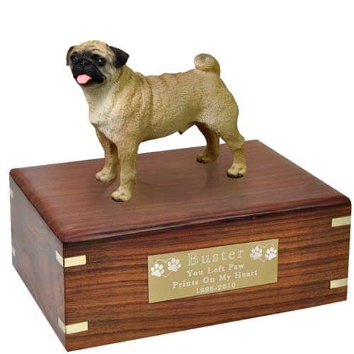 Fawn Pug Cremation Urn with engraved plaque, medium