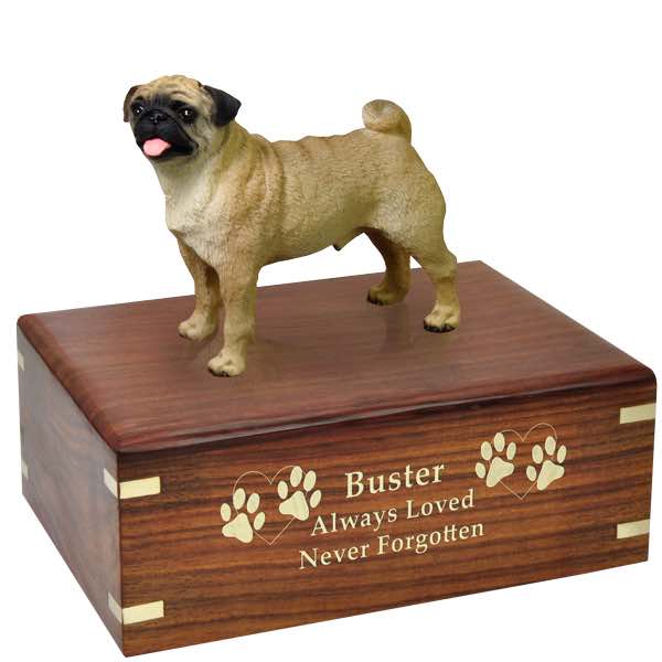 Fawn Pug Cremation Urn with engraved wood, gold fill