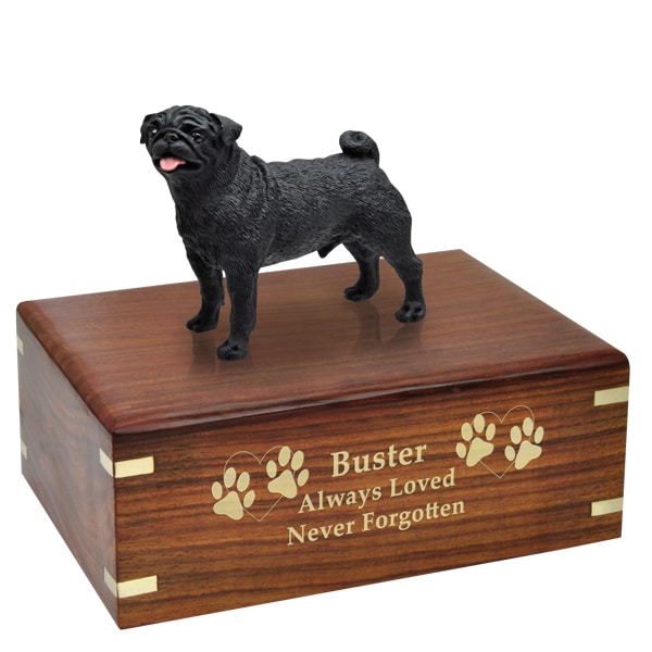 Black Pug Cremation Urn with engraved wood, gold fill