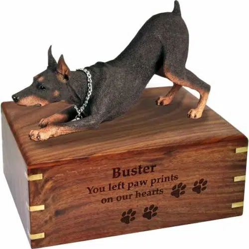 Doberman Pinscher Cremation Urn, with engraved wood, DFL25B