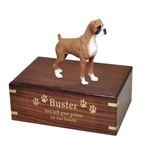 Boxer figurine cremation urn, uncropped ears, engraved wood urn with gold fill