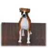 Brindle Boxer Dog Figurine Urn, uncropped ears, figurine detail