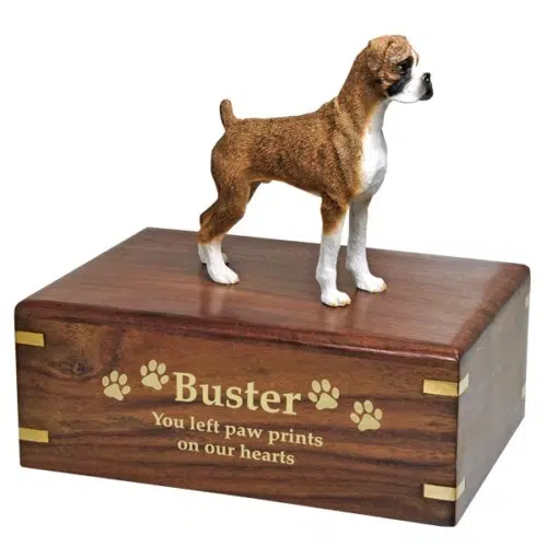 Brindle Boxer Dog Figurine Urn, uncropped ears, wood engraving with gold fill