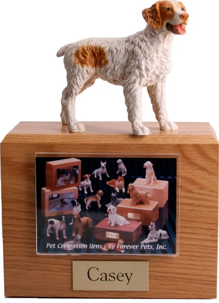 Hardwood photo hold urn with Brittany dog figurine on top