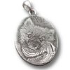 Oval 3d Photo Pendant for pet, sterling silver, BB3507S