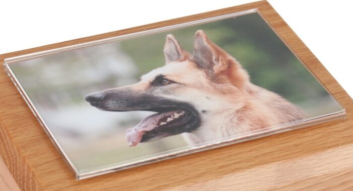 Acrylic photo holder