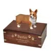 Pembroke Welsh Corgi dog figurine cremation memorial urn, engraved wood, gold fill