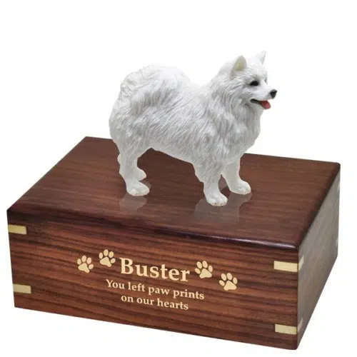 American Eskimo dog figurine cremation urn, with engraved wood, gold fill, medium