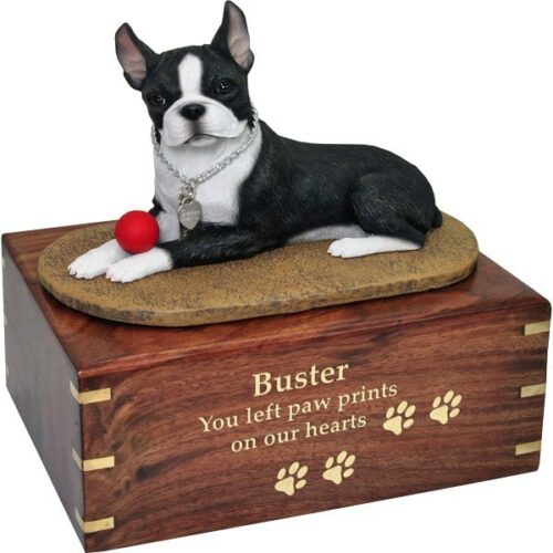 Boston Terrier dog figurine cremation memorial urn, engraved wood, gold fill