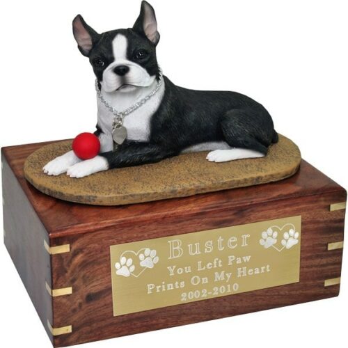 Boston Terrier dog figurine cremation memorial urn, engraved plaque