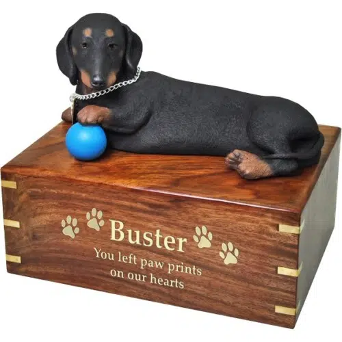 Black Dachshund dog figurine cremation urn, with engraved wood, gold fill