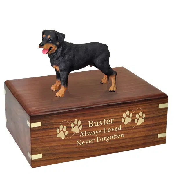 Rottweiler dog figurine cremation memorial urn, engraved wood, gold fill