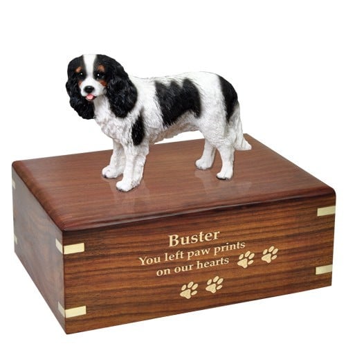 Tricolor Cavalier King Charles Spaniel dog figurine cremation urn, with engraved wood, gold fill