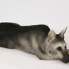 German Shepherd Dog Figurine