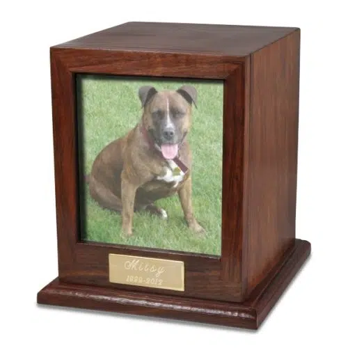 Rosewood wood cremation urn with photo holder, color dog photo