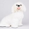 Bichon Frise pet dog cremation urn figurine