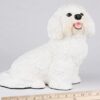 Bichon Frise pet dog cremation urn figurine, with ruler