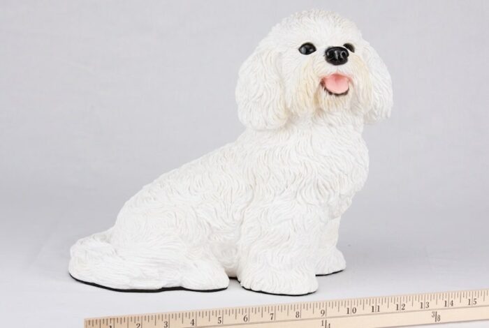 Bichon Frise pet dog cremation urn figurine, with ruler