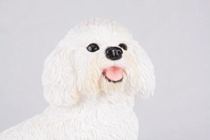 Bichon Frise pet dog cremation urn figurine, face