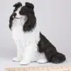 Border Collie pet dog cremation urn figurine, with ruler