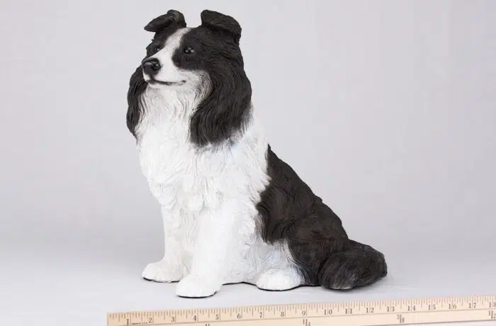 Border Collie pet dog cremation urn figurine, with ruler