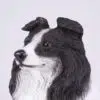 Border Collie pet dog cremation urn figurine, face