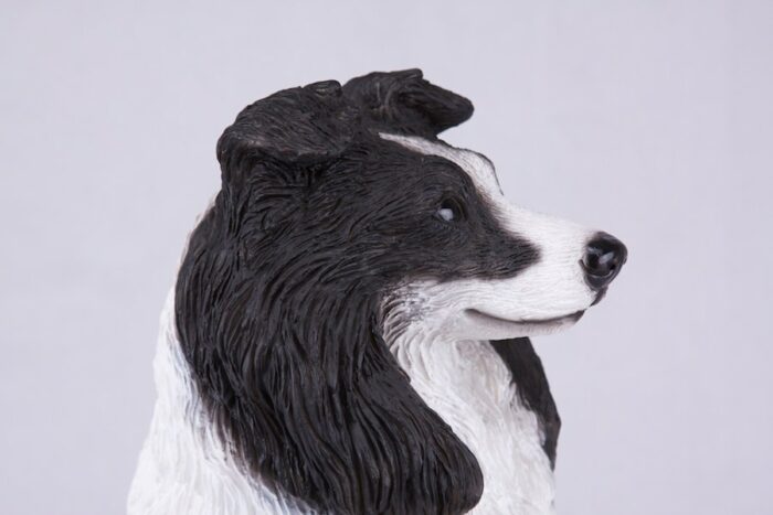 Border Collie pet dog cremation urn figurine, face