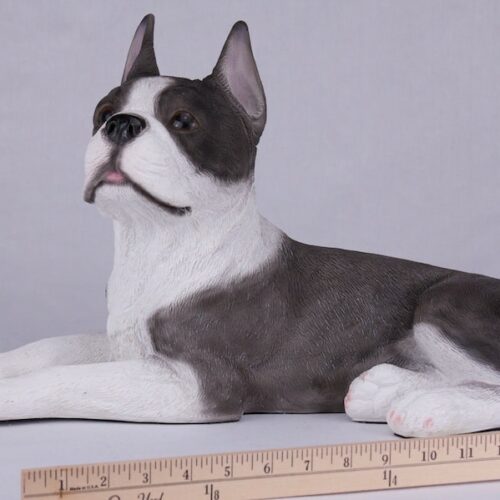 Boston Terrier pet dog cremation urn figurine, with ruler