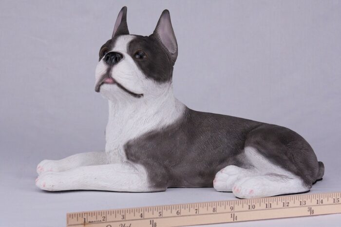 Boston Terrier pet dog cremation urn figurine, with ruler