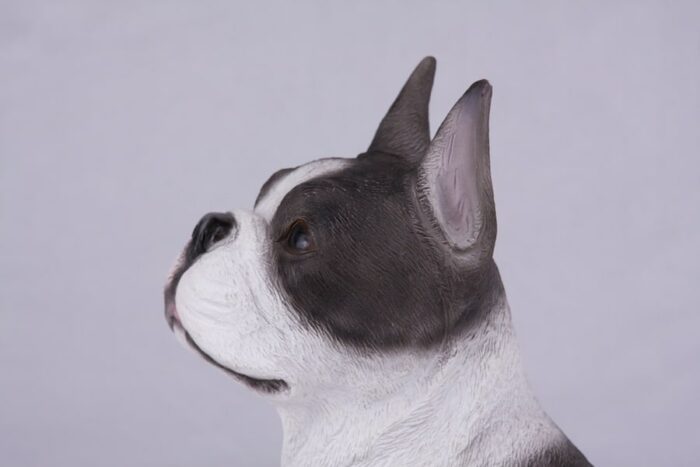 Boston Terrier pet dog cremation urn figurine, face