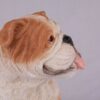 Bulldog pet dog cremation urn figurine, face