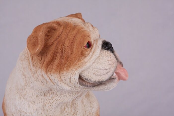 Bulldog pet dog cremation urn figurine, face