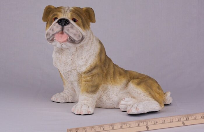 Bulldog pet dog cremation urn figurine, face, with ruler