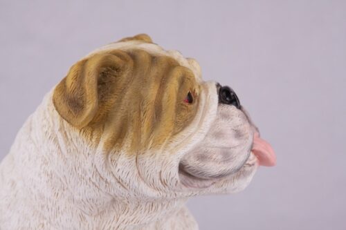 Bulldog pet dog cremation urn figurine, face
