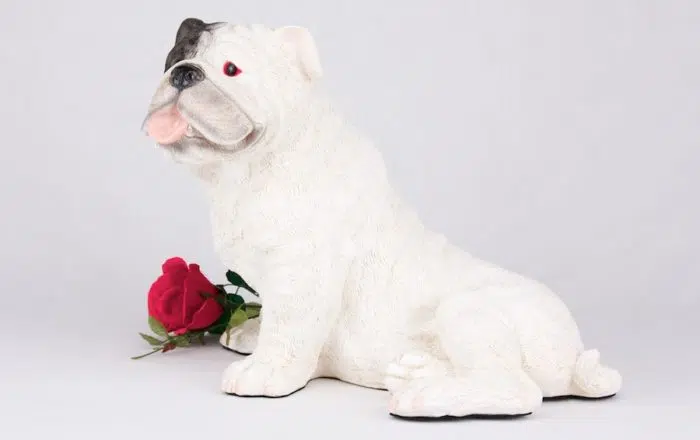 White Bulldog pet dog cremation urn figurine