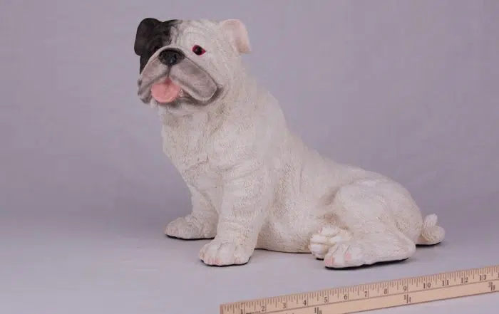 White Bulldog pet dog cremation urn figurine, with ruler