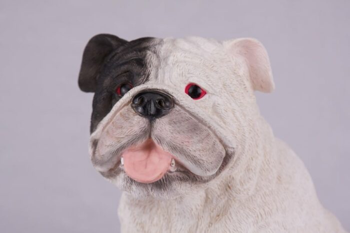 White Bulldog pet dog cremation urn figurine, face