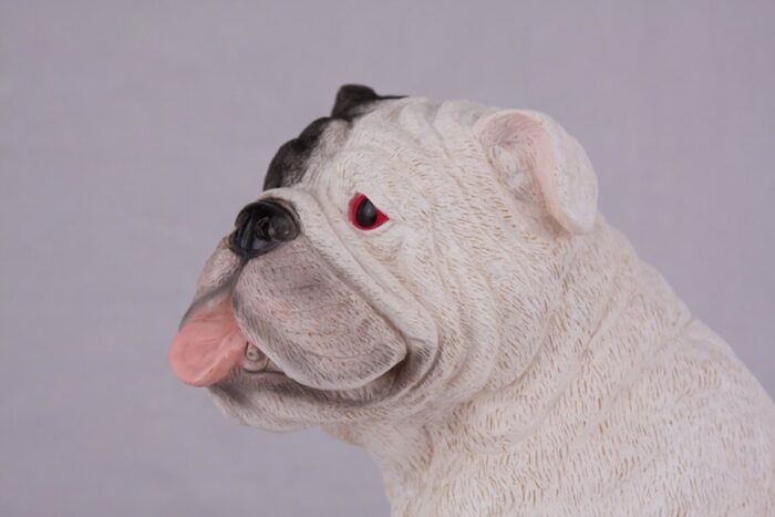 White Bulldog pet dog cremation urn figurine, face