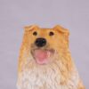 Collie pet dog cremation urn figurine, face
