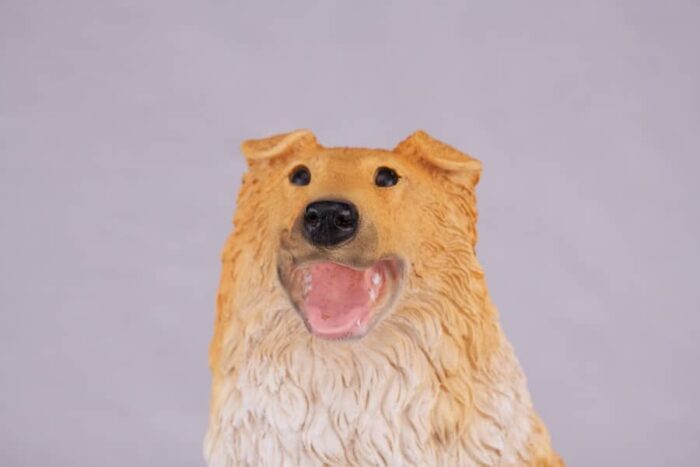 Collie pet dog cremation urn figurine, face