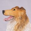 Collie pet dog cremation urn figurine, face