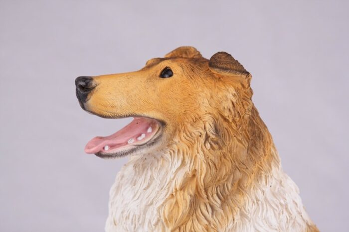 Collie pet dog cremation urn figurine, face